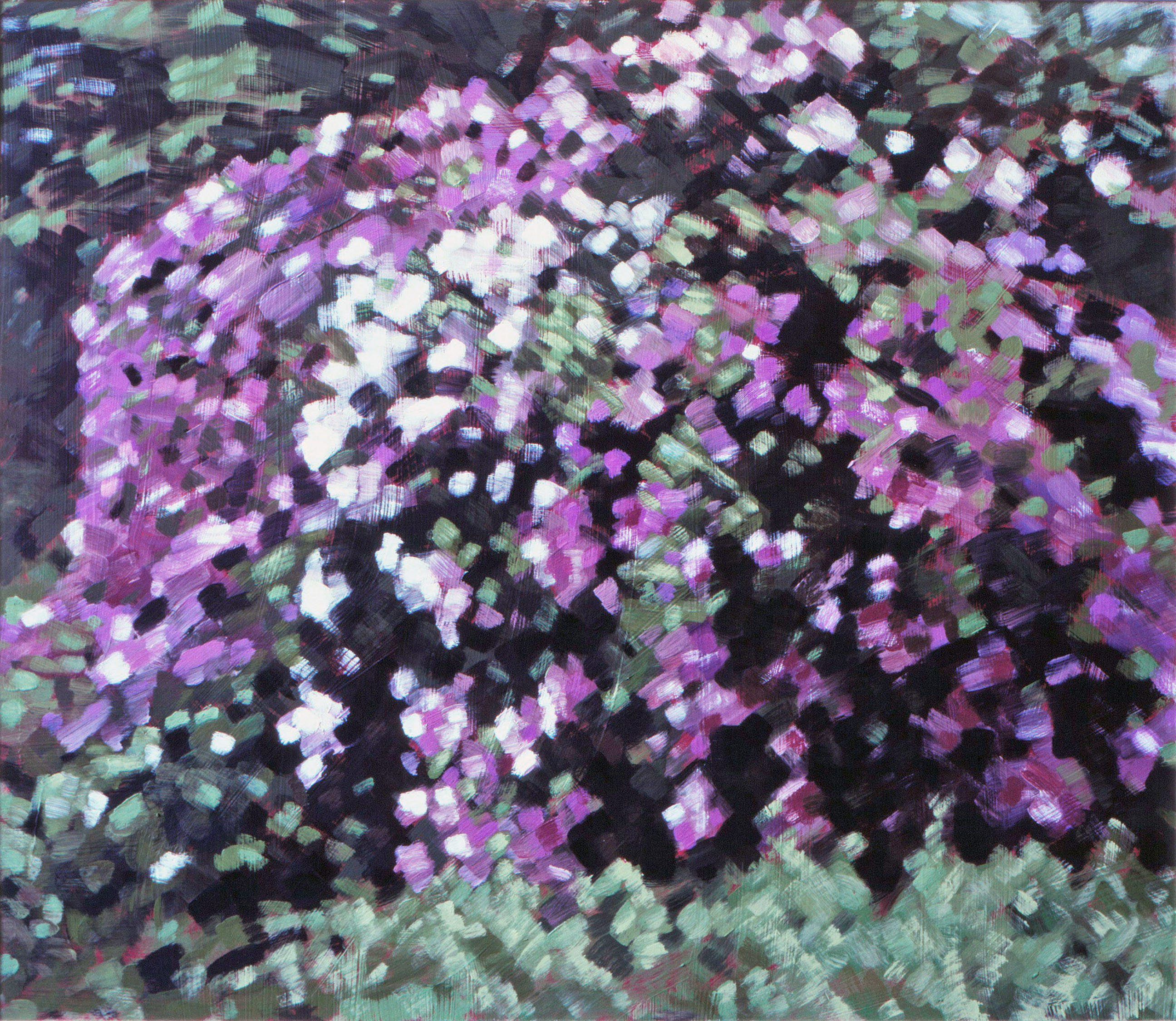 Rododendron 2 1979 50x58cm *