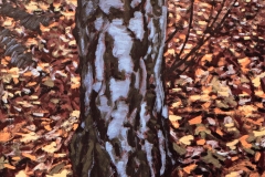 Berk-1990 40x40cm