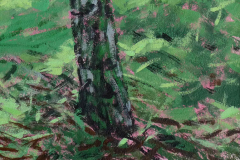 Berk-50x30 1980