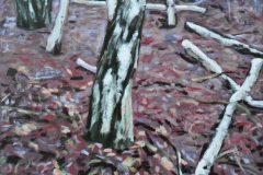 Berken 1992 40x40cm *