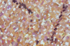 Blaadjes 1 50x60 1979