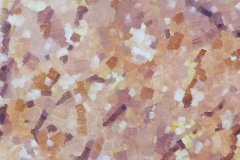 Blaadjes 2 50x60 1979