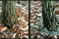 Boomstam-1en-2-1981-55x55