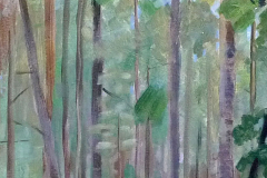 Bos 1977 40x50