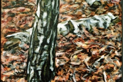Dode berk 1995 42x42cm *