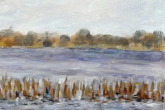 Naardermeer 1975 30x40cm