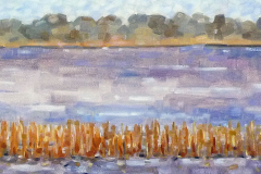 Naardermeer 1975 50x50cm