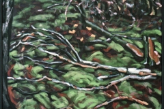 Omglen Bomen 1991 140x140