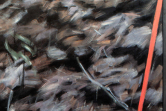 Bos met Paaltjes 1 1982 200x200cm