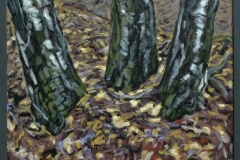 Drie Berken 1996