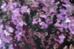 Rododendron 1979 100 x 120 cm *