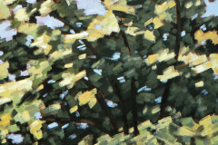 Boomtop 1979 100 x 105 cm *
