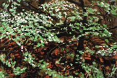 Struik 1993 40x40cm *