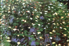 Vijver 1986 50x42cm *