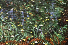 Vijver 1989 50x50cm
