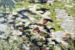 Vijver 1992 42x42cm *