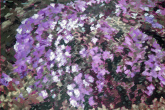 Rododendron 1979 100 x 120 cm *