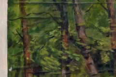 Opgeprikt doek (van A.M. G. )1976 60x50