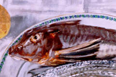 In Opdracht: Vissen, 50x50, 1995